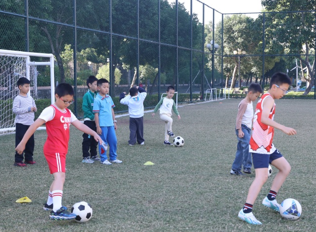 完善的点评系统艺体课程缩水等现象保证所有规定课程开齐开足